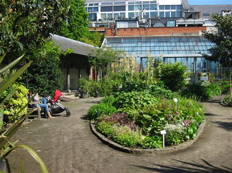 plantentuin den botaniek|Welkom in Antwerpen 